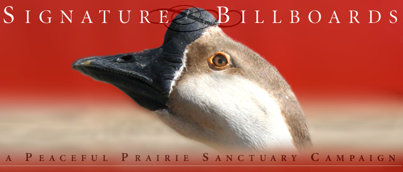 Signature Billboards